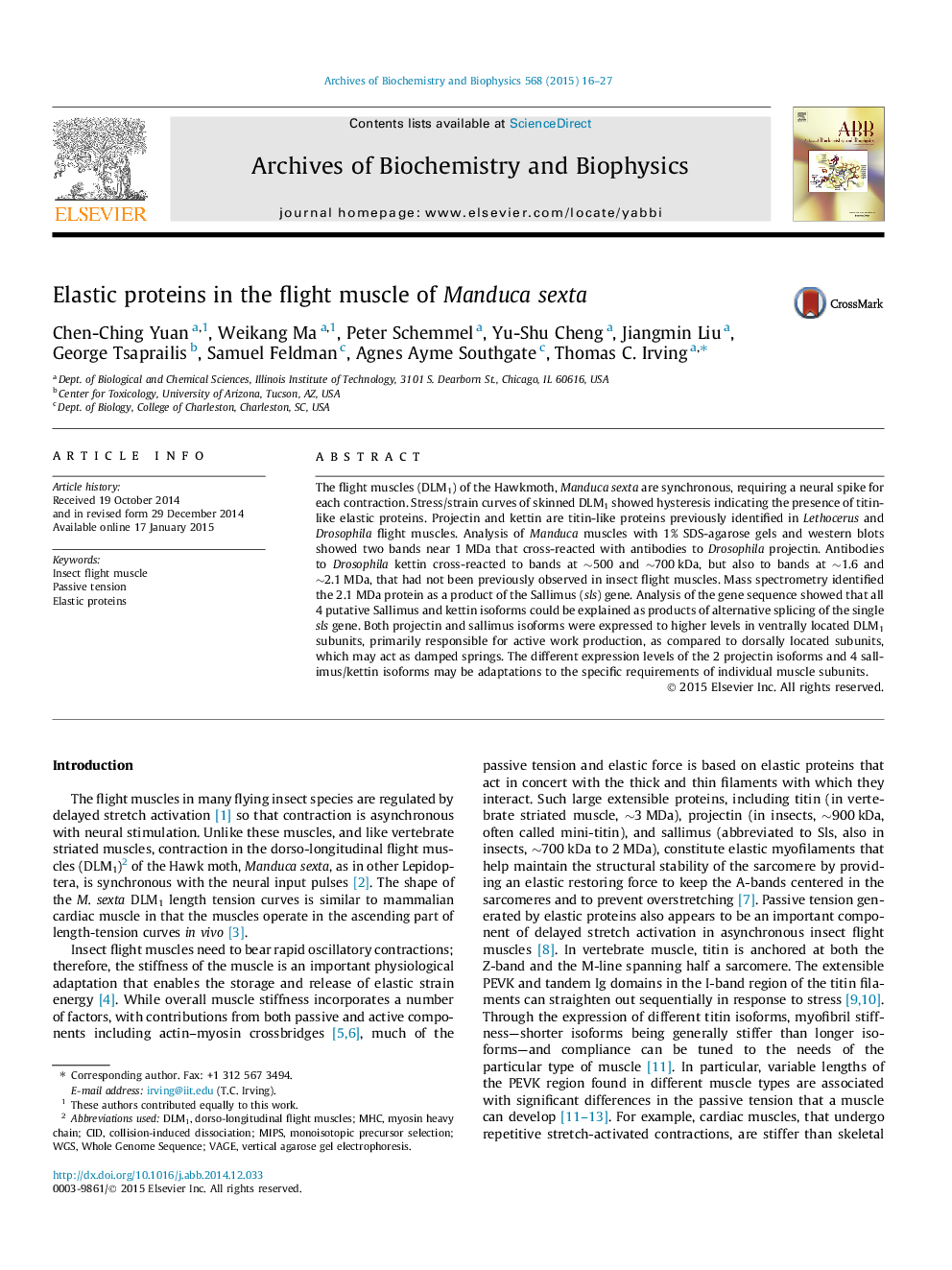 Elastic proteins in the flight muscle of Manduca sexta