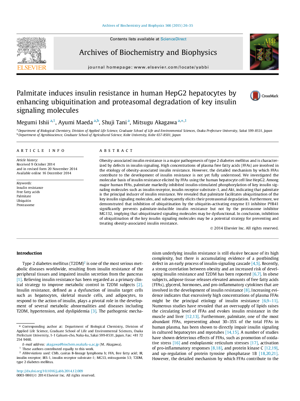 Palmitate induces insulin resistance in human HepG2 hepatocytes by enhancing ubiquitination and proteasomal degradation of key insulin signaling molecules