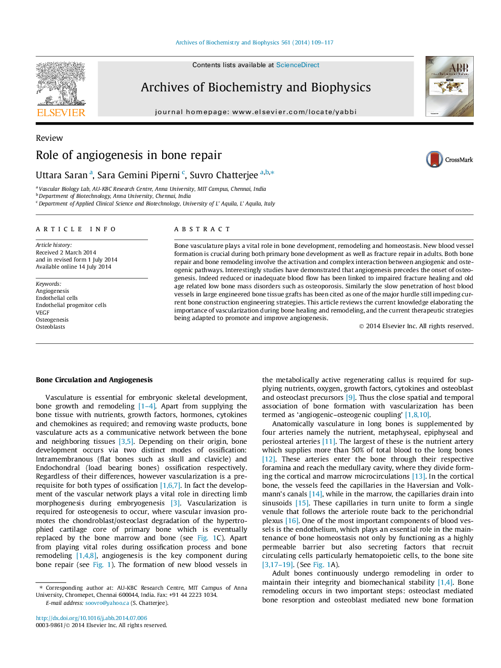 Role of angiogenesis in bone repair