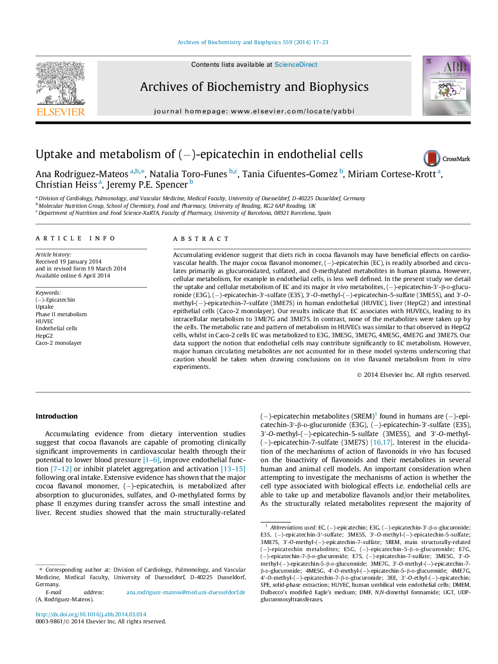 Uptake and metabolism of (−)-epicatechin in endothelial cells