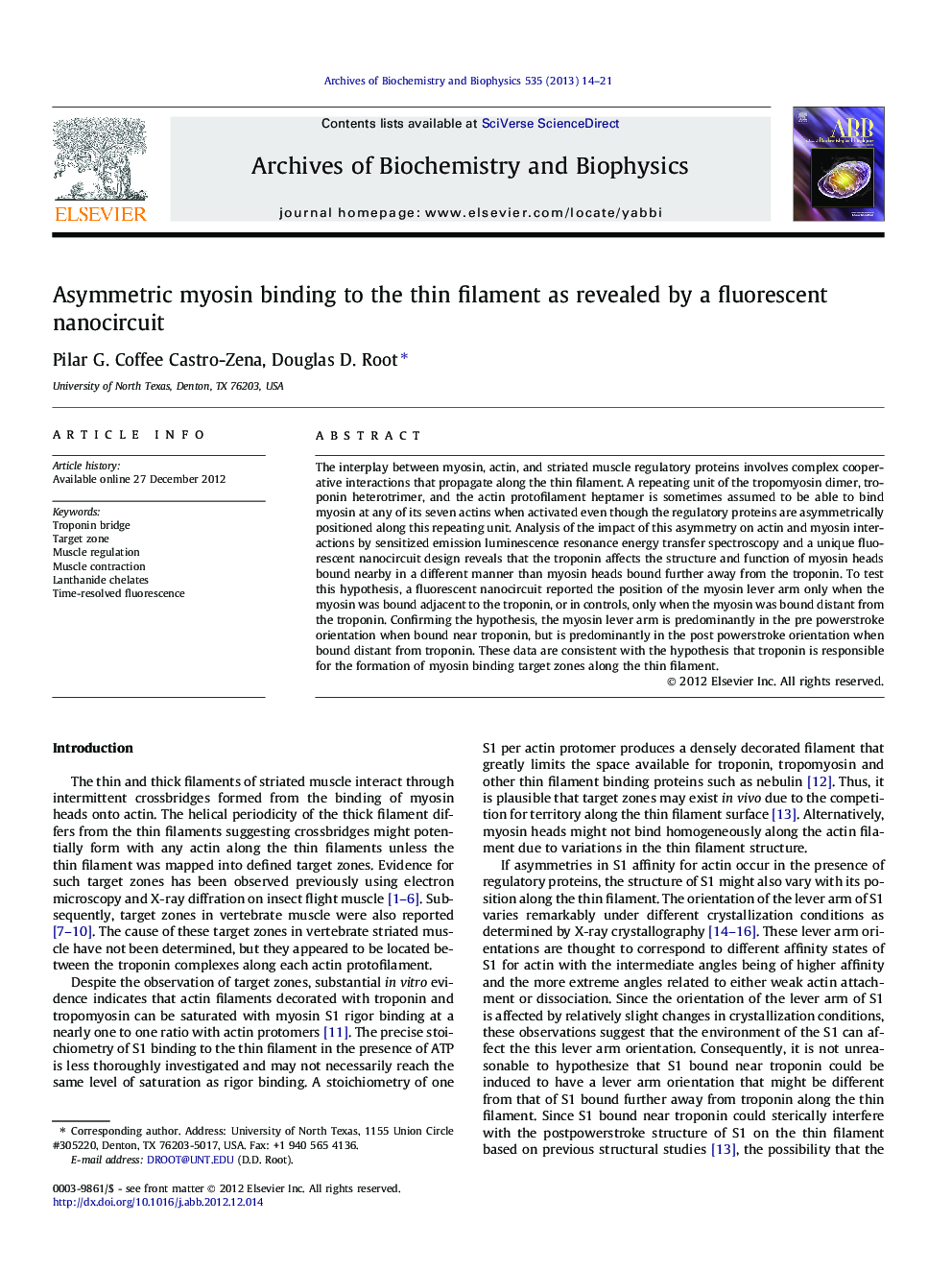 Asymmetric myosin binding to the thin filament as revealed by a fluorescent nanocircuit