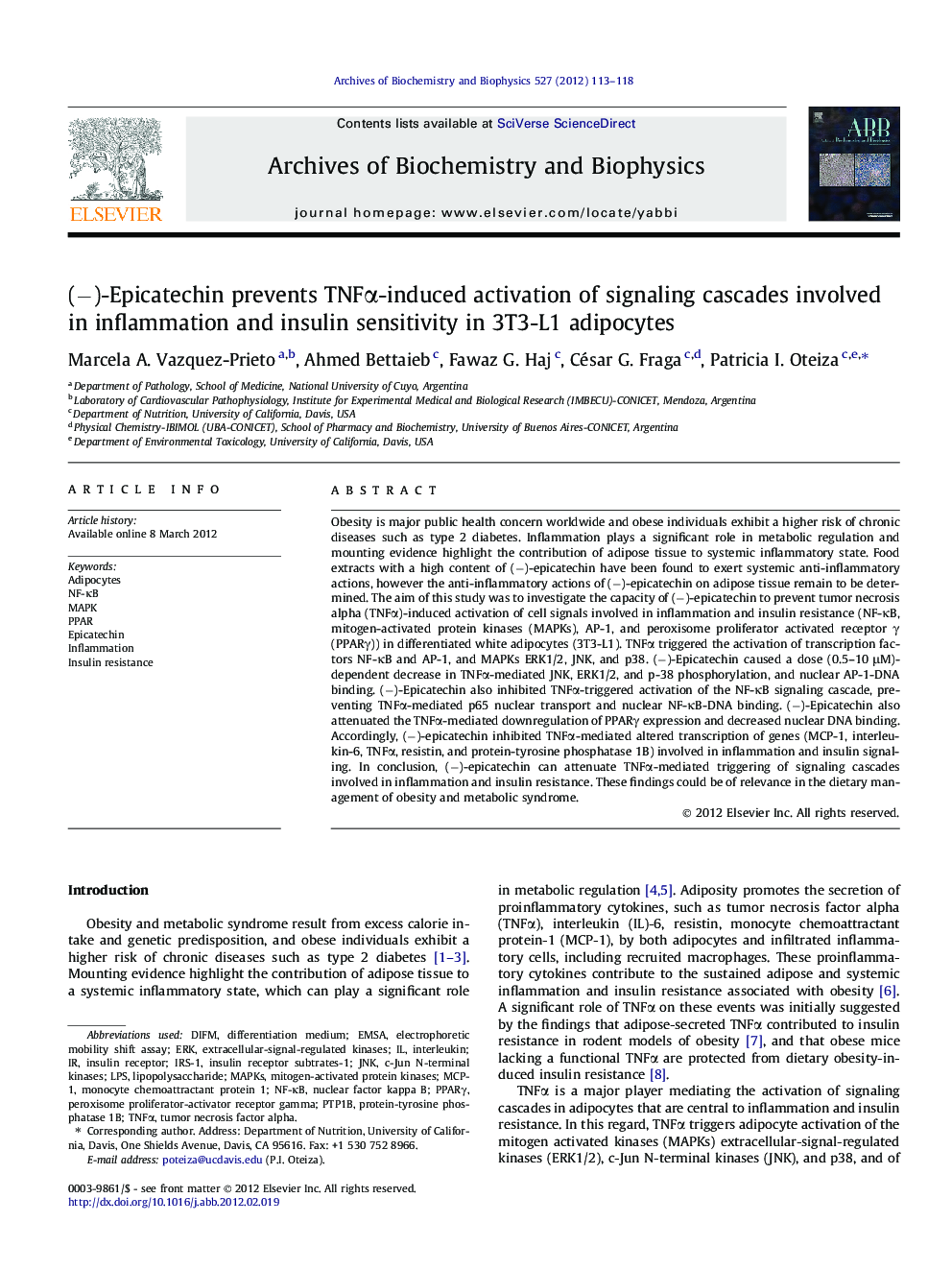 (−)-Epicatechin prevents TNFα-induced activation of signaling cascades involved in inflammation and insulin sensitivity in 3T3-L1 adipocytes