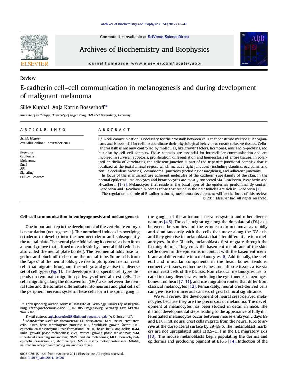 E-cadherin cell–cell communication in melanogenesis and during development of malignant melanoma