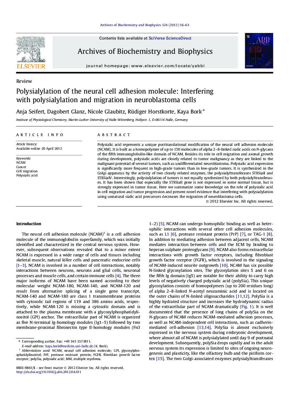 Polysialylation of the neural cell adhesion molecule: Interfering with polysialylation and migration in neuroblastoma cells