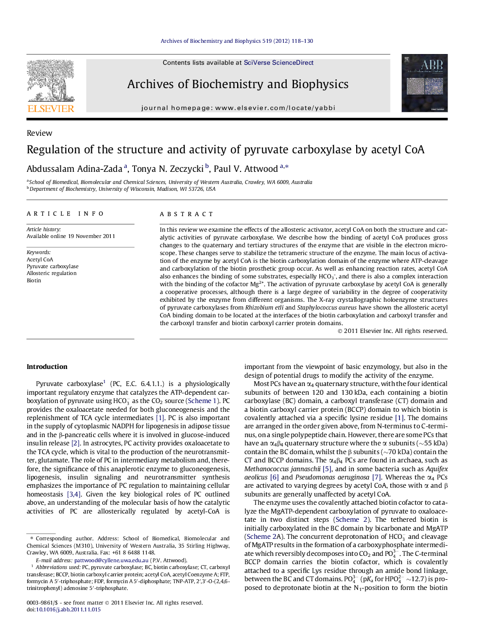 Regulation of the structure and activity of pyruvate carboxylase by acetyl CoA