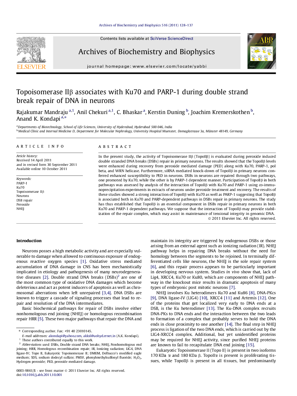 Topoisomerase IIβ associates with Ku70 and PARP-1 during double strand break repair of DNA in neurons