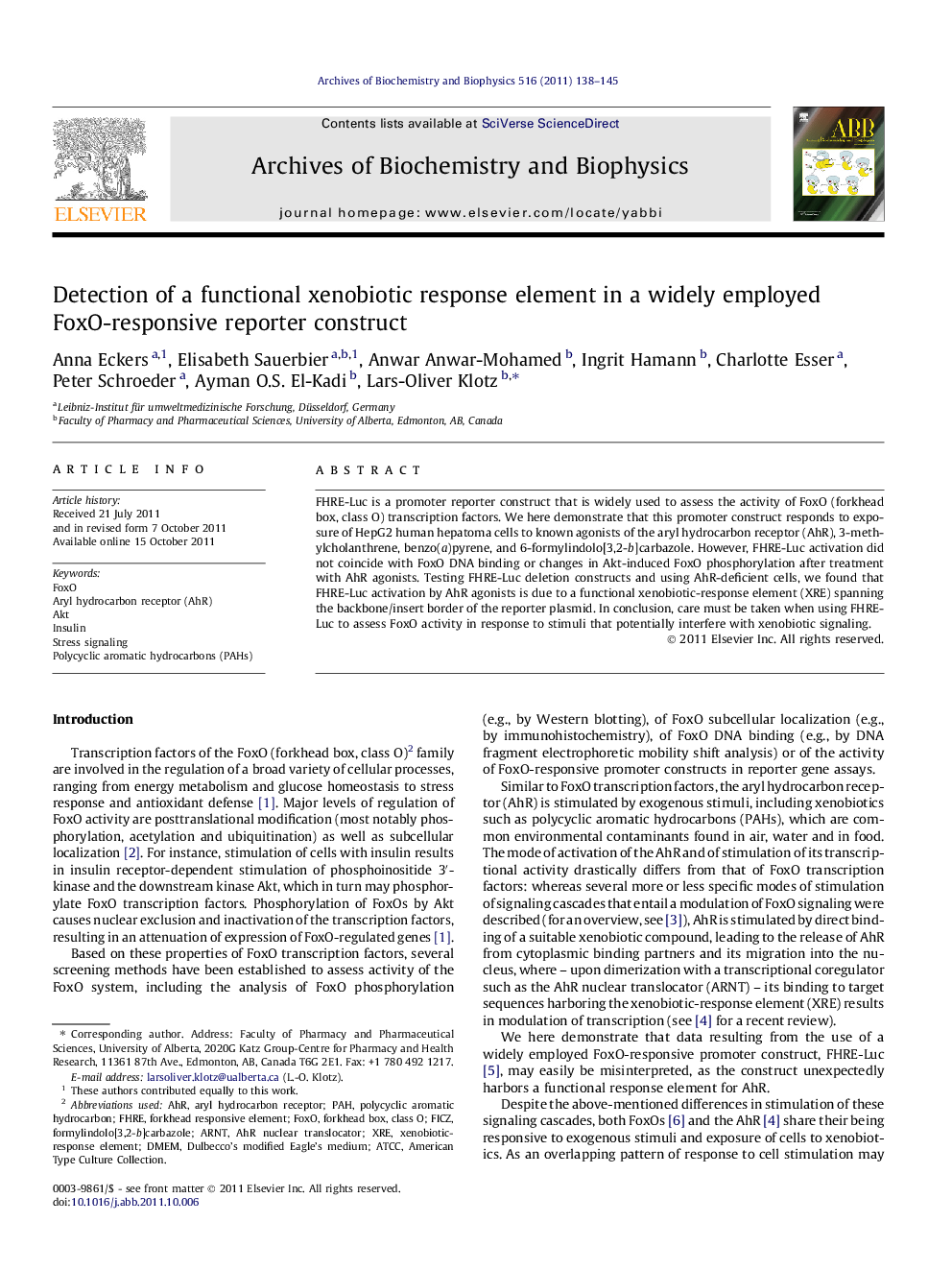 Detection of a functional xenobiotic response element in a widely employed FoxO-responsive reporter construct