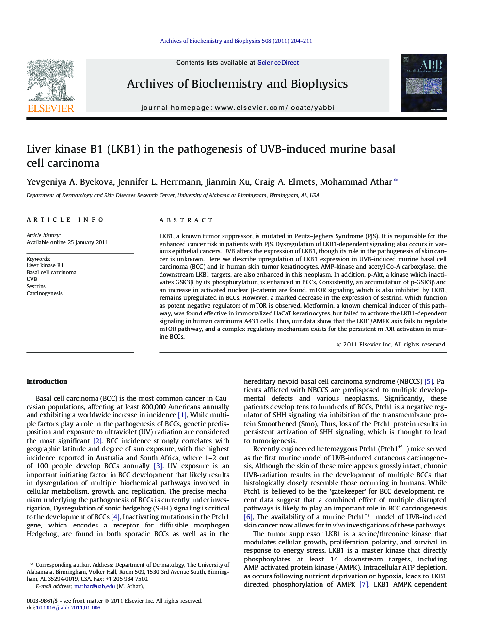 Liver kinase B1 (LKB1) in the pathogenesis of UVB-induced murine basal cell carcinoma