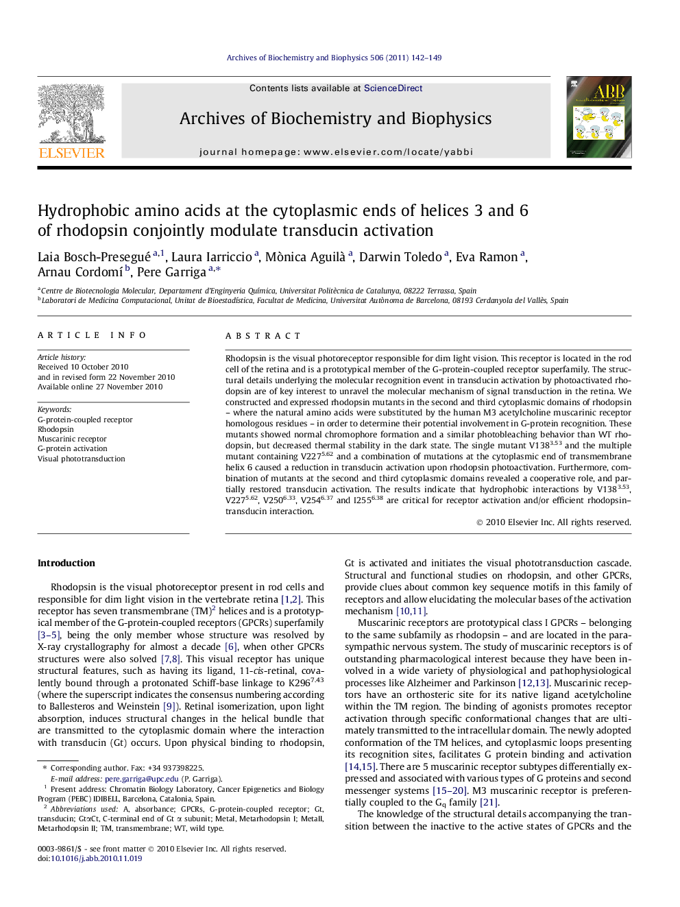 Hydrophobic amino acids at the cytoplasmic ends of helices 3 and 6 of rhodopsin conjointly modulate transducin activation