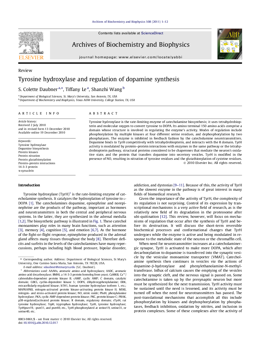 Tyrosine hydroxylase and regulation of dopamine synthesis