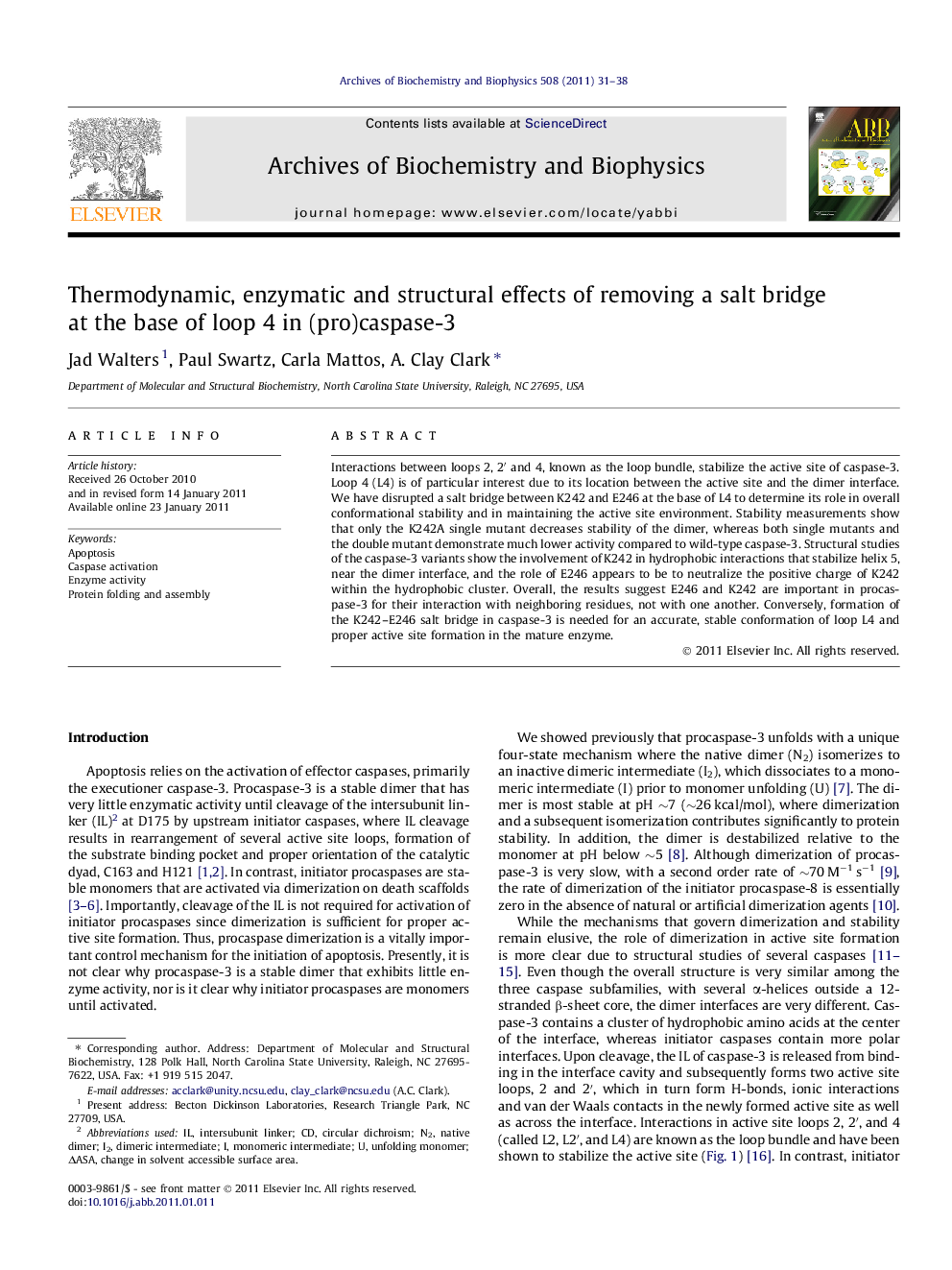 Thermodynamic, enzymatic and structural effects of removing a salt bridge at the base of loop 4 in (pro)caspase-3