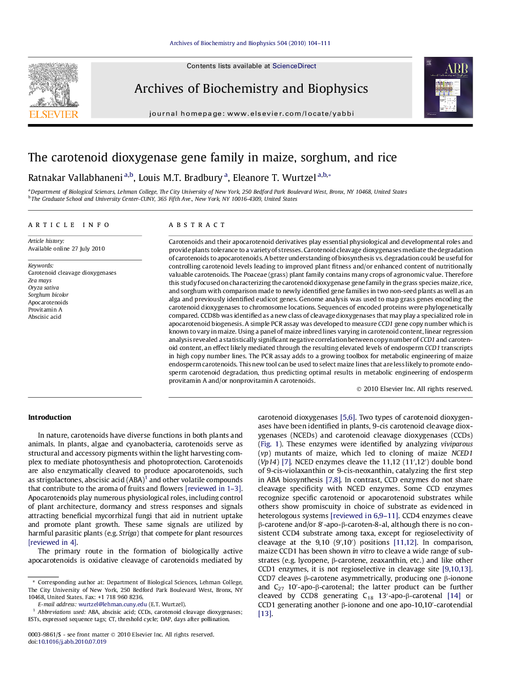 The carotenoid dioxygenase gene family in maize, sorghum, and rice