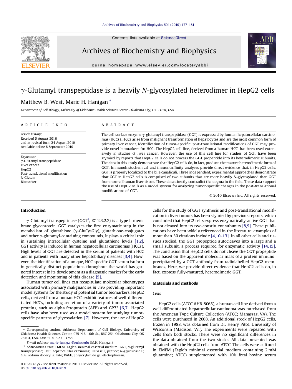 γ-Glutamyl transpeptidase is a heavily N-glycosylated heterodimer in HepG2 cells