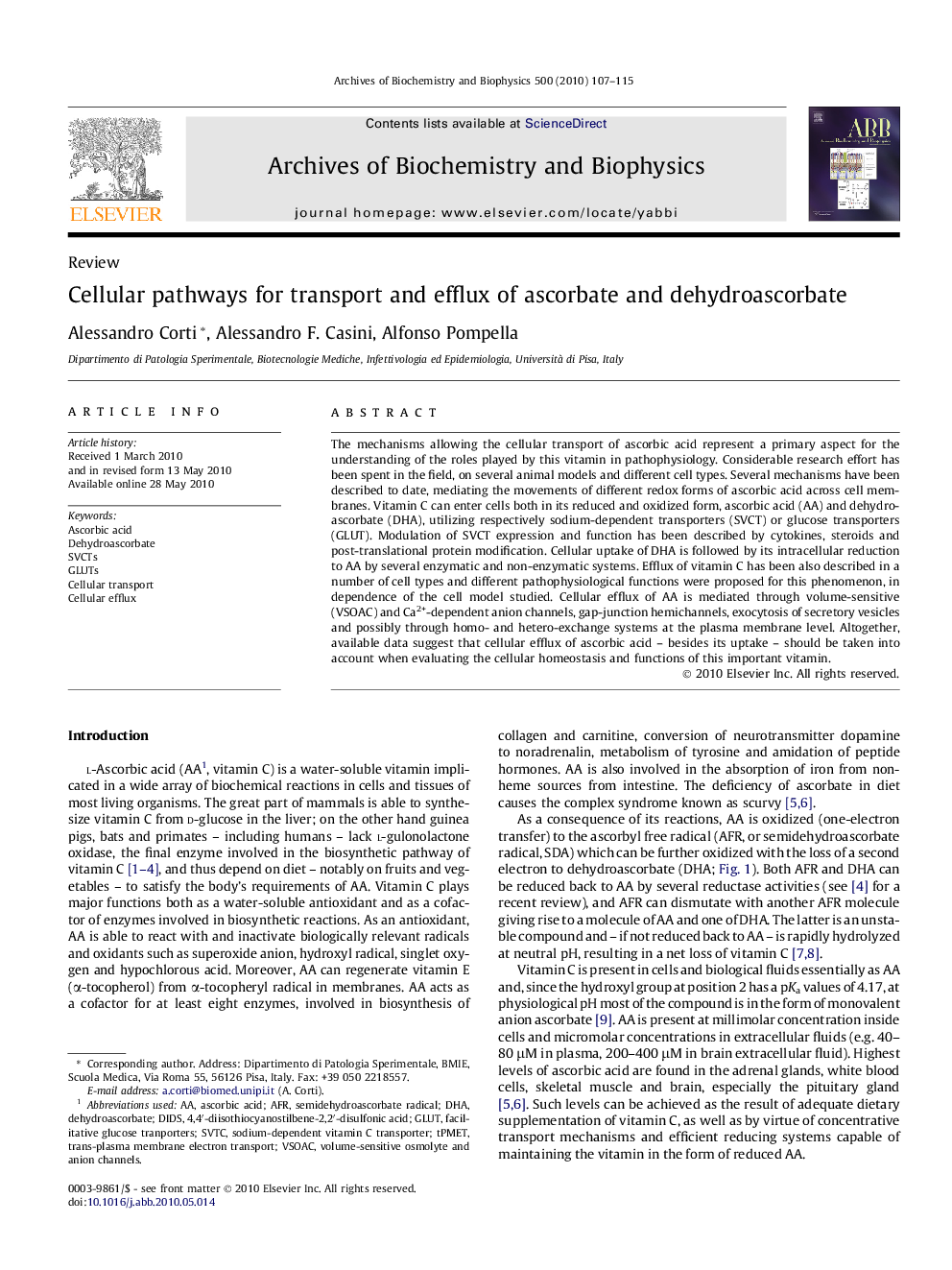 Cellular pathways for transport and efflux of ascorbate and dehydroascorbate