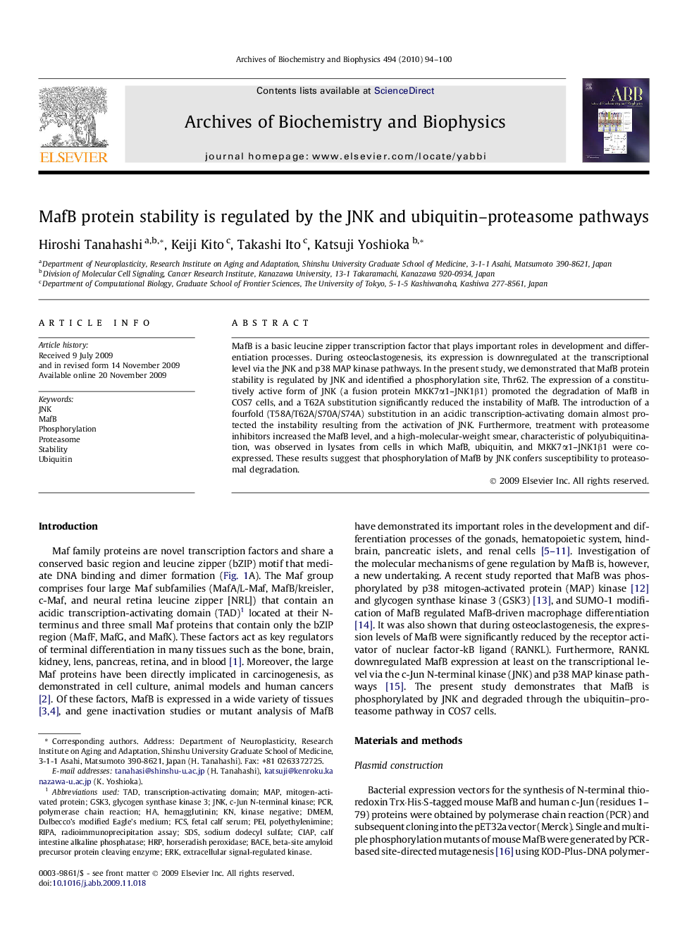 MafB protein stability is regulated by the JNK and ubiquitin–proteasome pathways