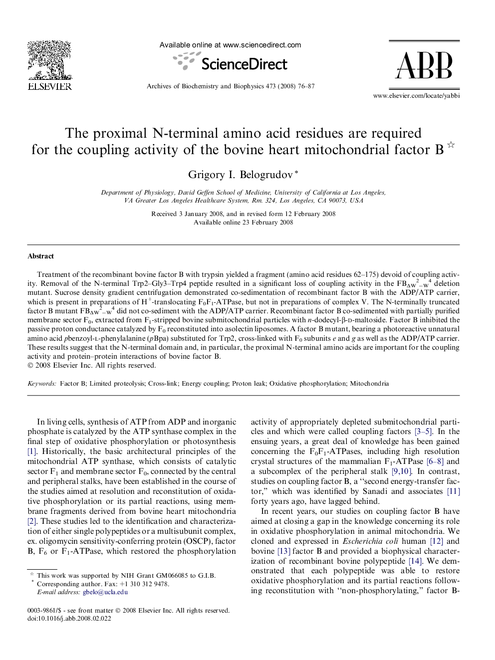 The proximal N-terminal amino acid residues are required for the coupling activity of the bovine heart mitochondrial factor B 