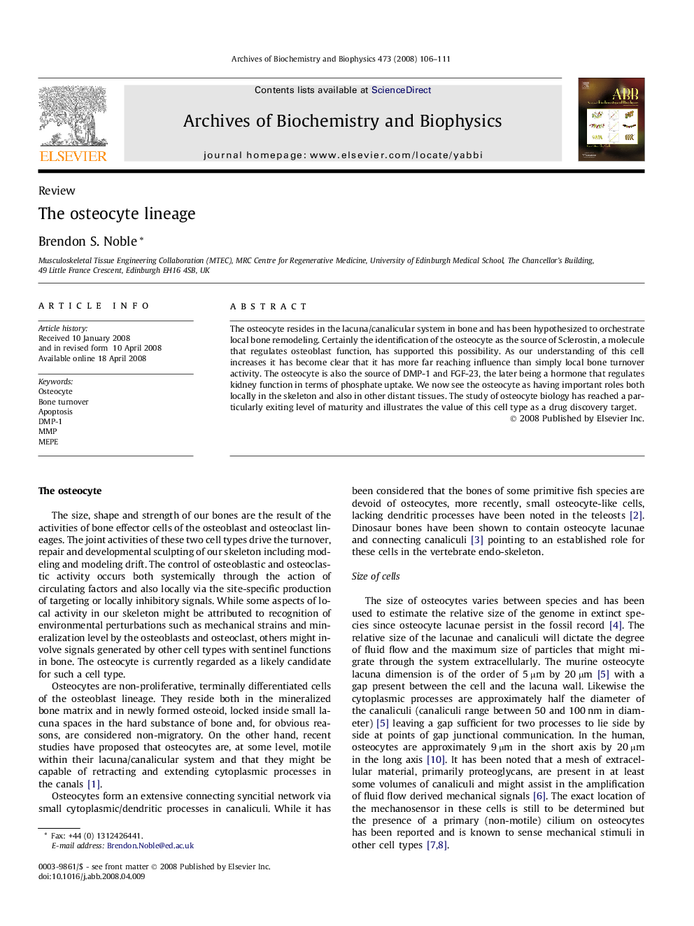 The osteocyte lineage