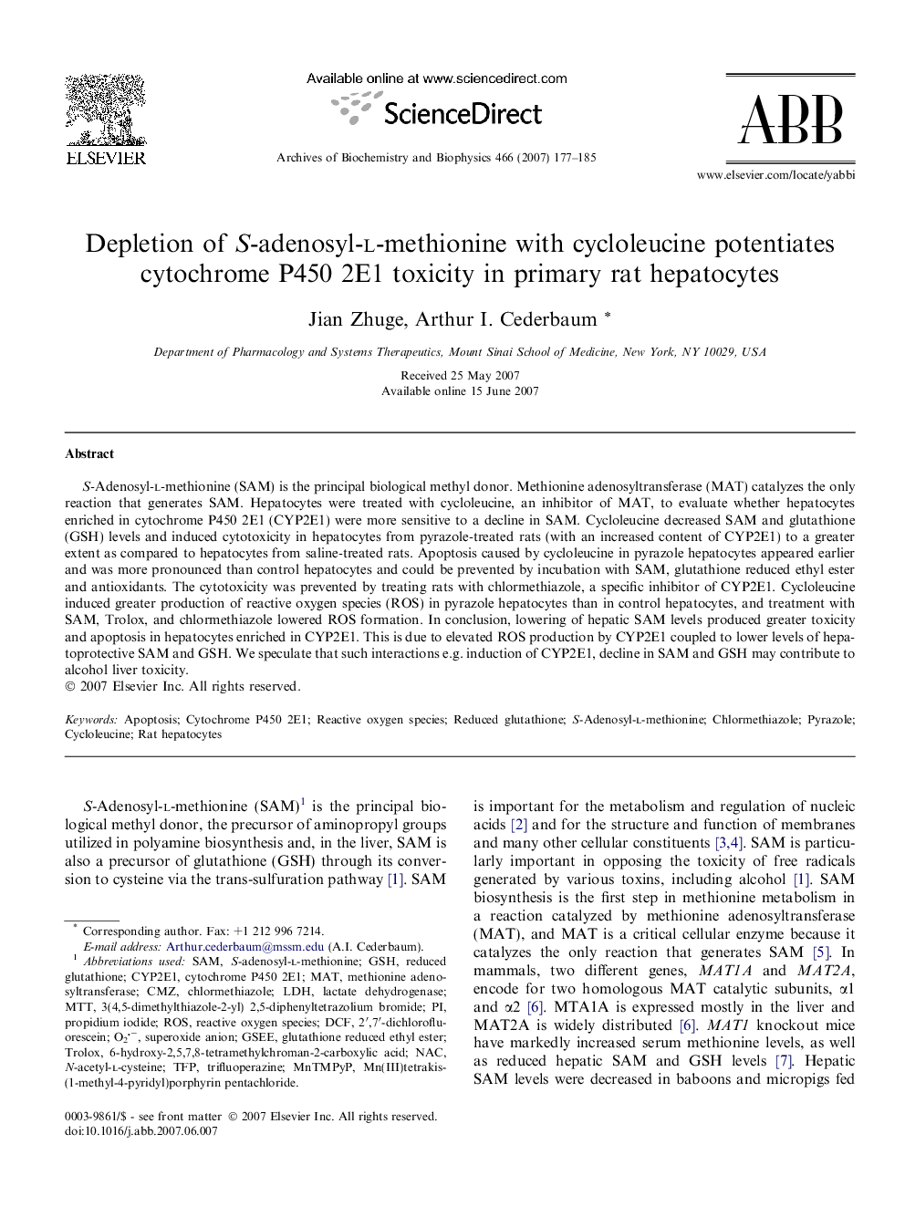 Depletion of S-adenosyl-l-methionine with cycloleucine potentiates cytochrome P450 2E1 toxicity in primary rat hepatocytes