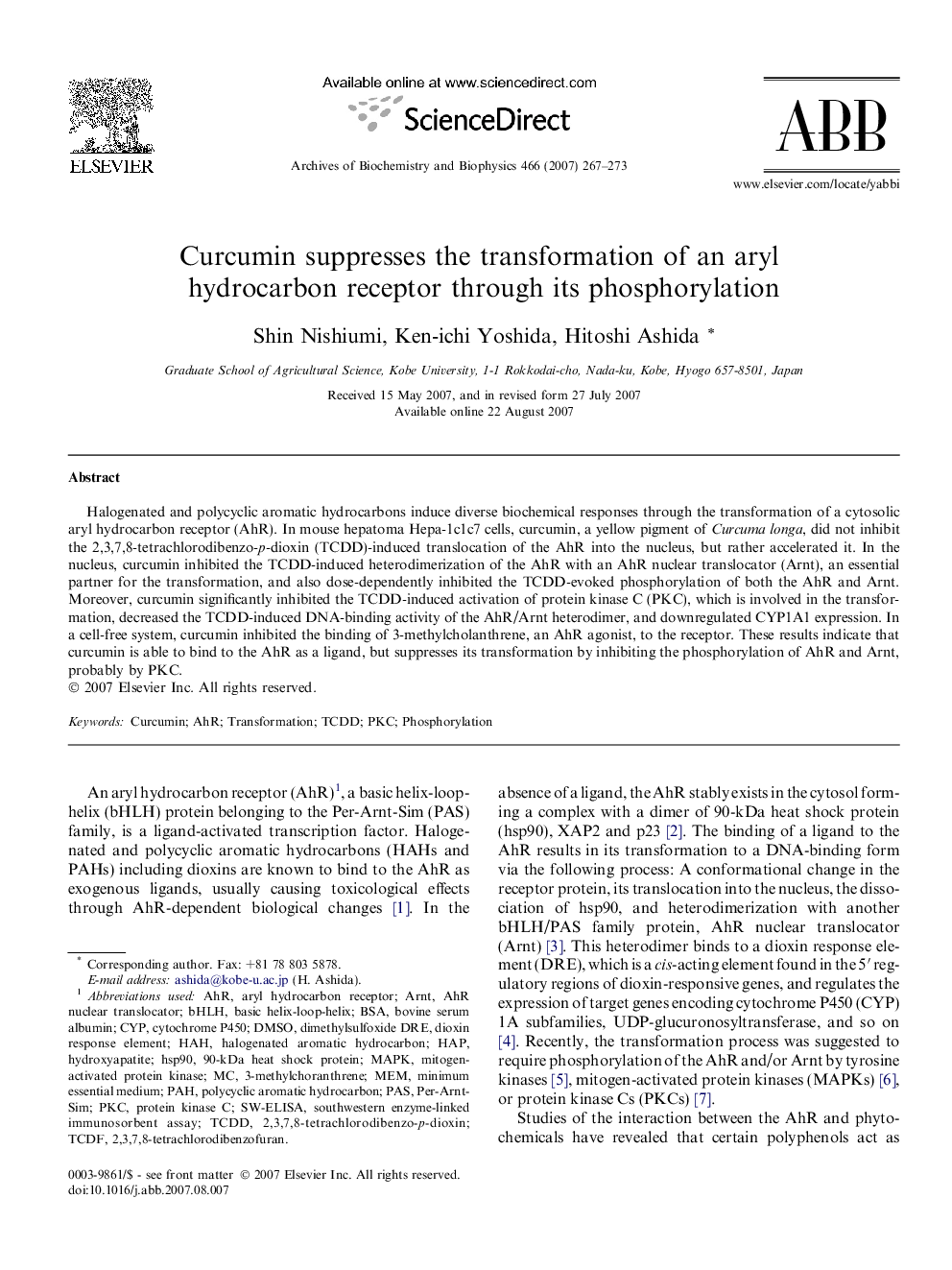 Curcumin suppresses the transformation of an aryl hydrocarbon receptor through its phosphorylation