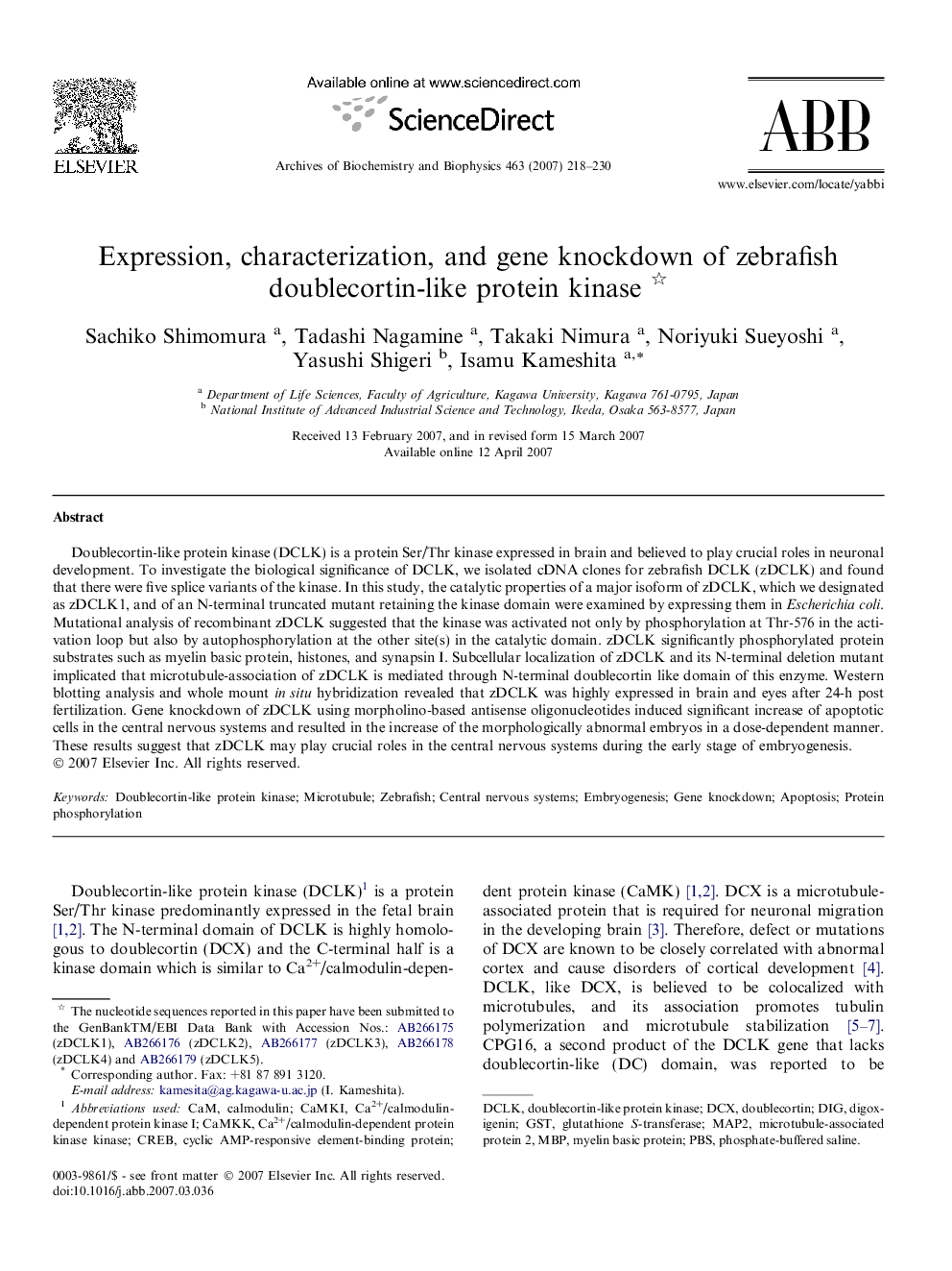 Expression, characterization, and gene knockdown of zebrafish doublecortin-like protein kinase 