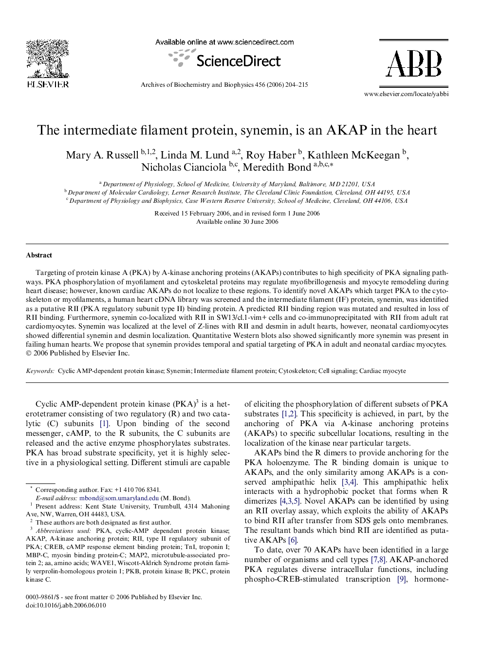 The intermediate filament protein, synemin, is an AKAP in the heart