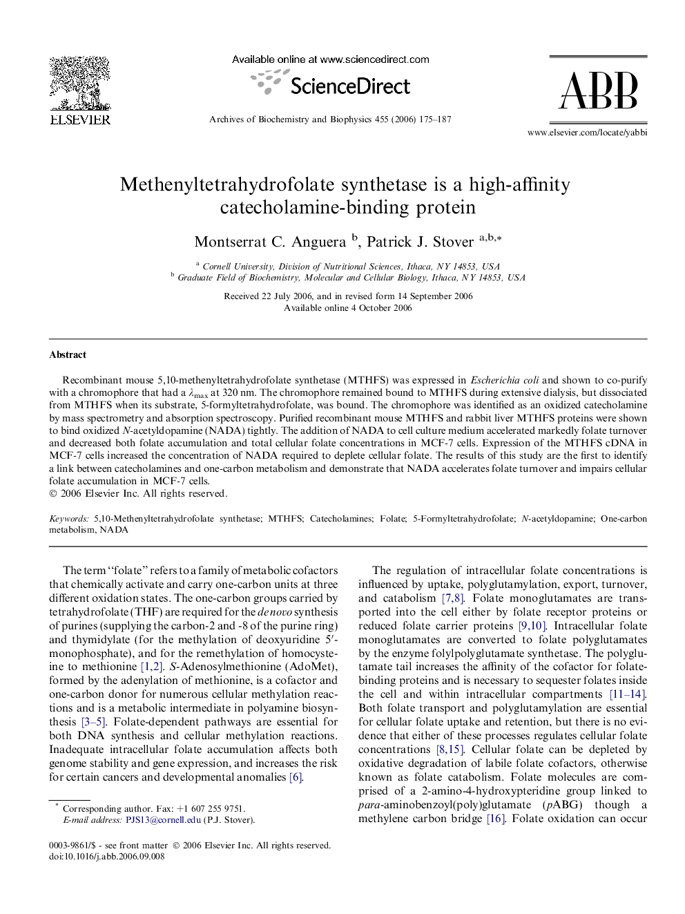 Methenyltetrahydrofolate synthetase is a high-affinity catecholamine-binding protein