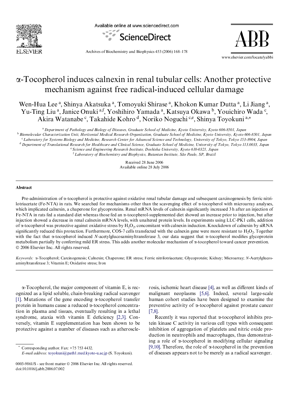 α-Tocopherol induces calnexin in renal tubular cells: Another protective mechanism against free radical-induced cellular damage