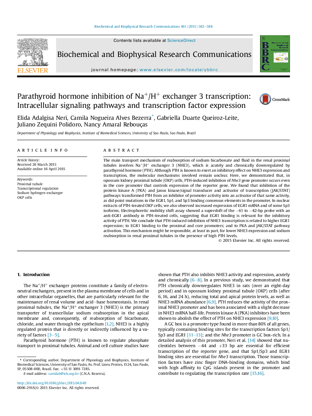 Parathyroid hormone inhibition of Na+/H+ exchanger 3 transcription: Intracellular signaling pathways and transcription factor expression