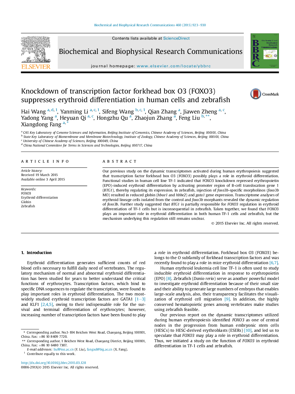 Knockdown of transcription factor forkhead box O3 (FOXO3) suppresses erythroid differentiation in human cells and zebrafish