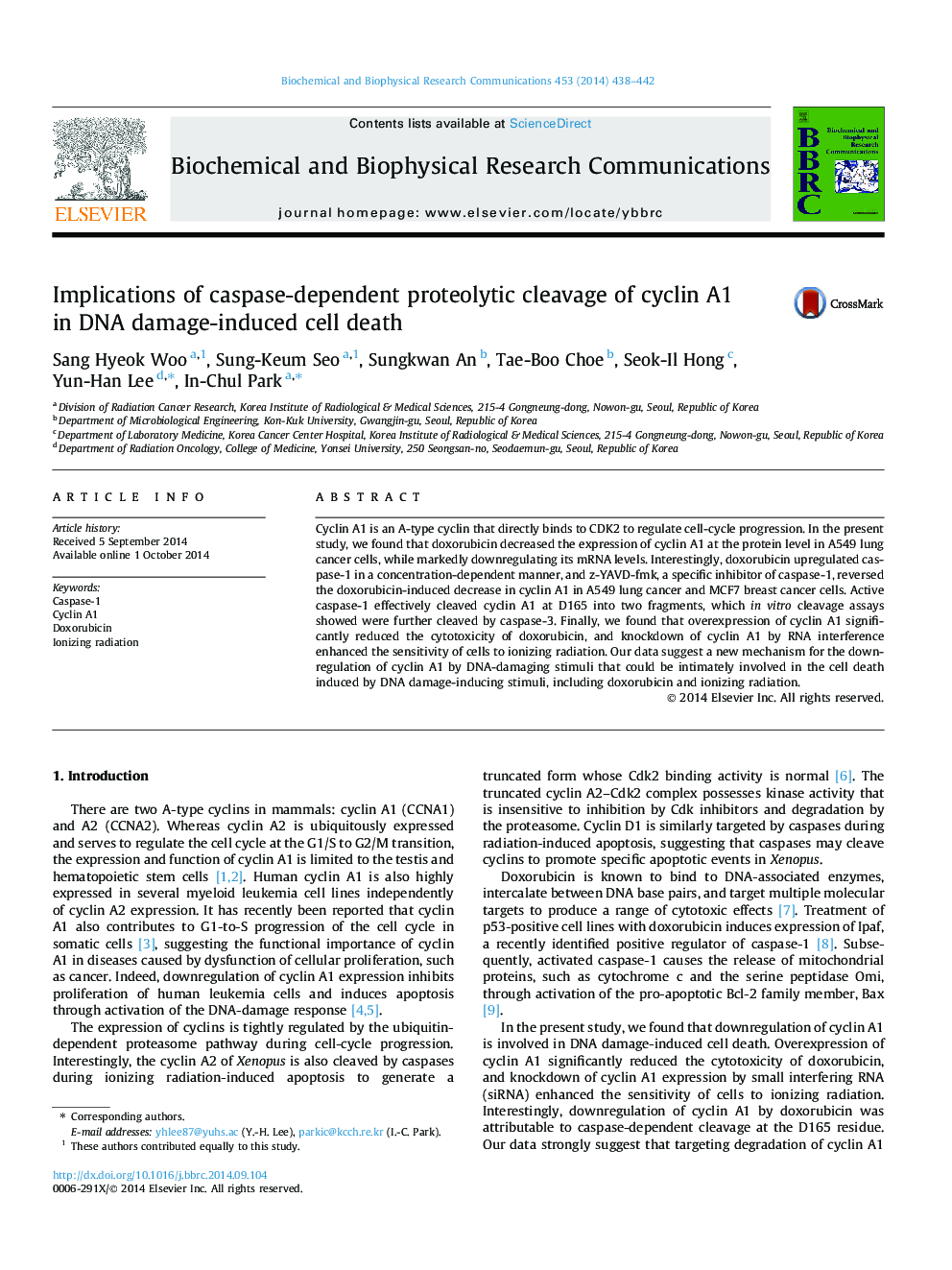 Implications of caspase-dependent proteolytic cleavage of cyclin A1 in DNA damage-induced cell death