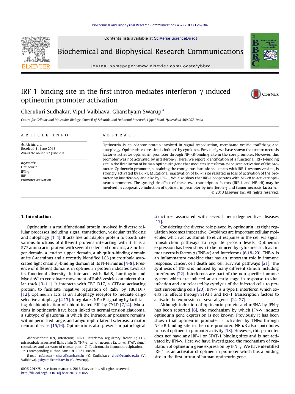 IRF-1-binding site in the first intron mediates interferon-γ-induced optineurin promoter activation