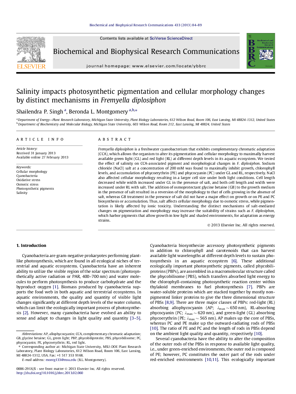 Salinity impacts photosynthetic pigmentation and cellular morphology changes by distinct mechanisms in Fremyella diplosiphon