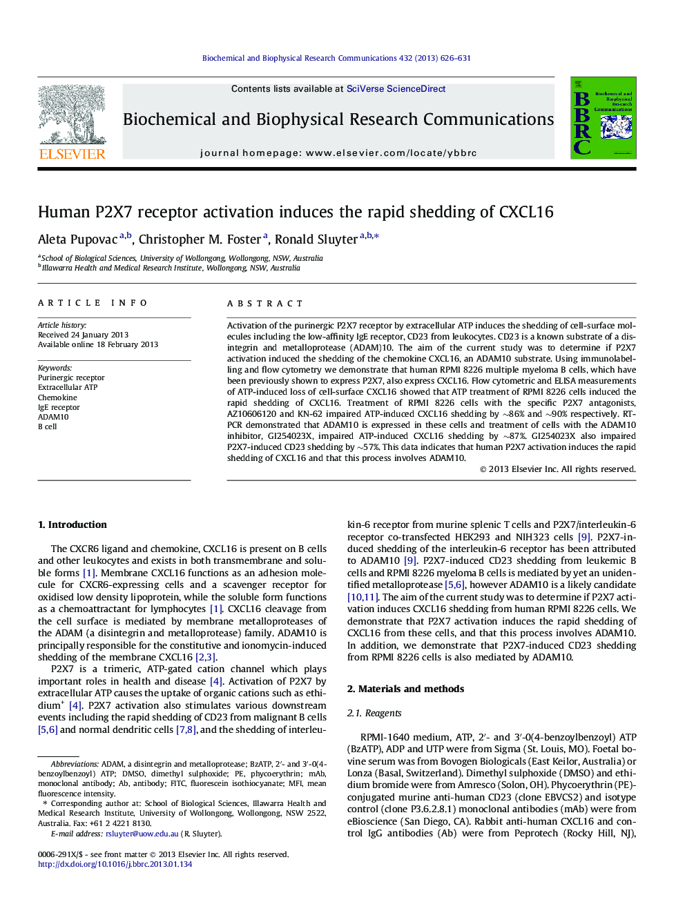 Human P2X7 receptor activation induces the rapid shedding of CXCL16