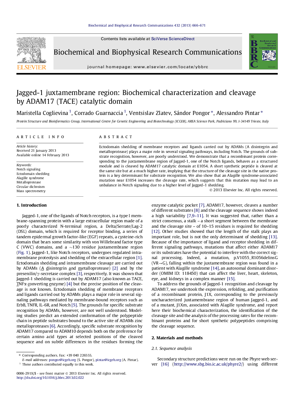 Jagged-1 juxtamembrane region: Biochemical characterization and cleavage by ADAM17 (TACE) catalytic domain