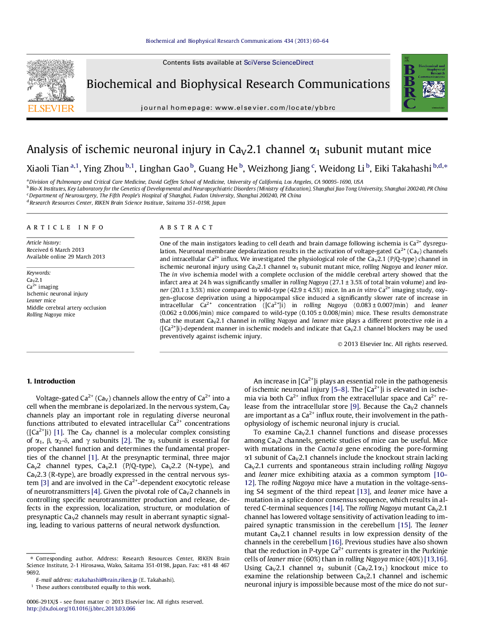 Analysis of ischemic neuronal injury in CaV2.1 channel α1 subunit mutant mice