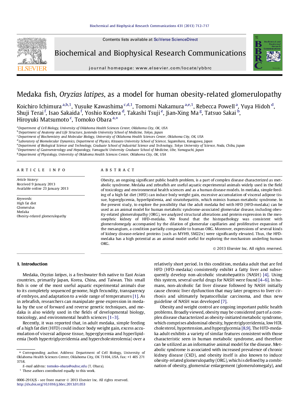 Medaka fish, Oryzias latipes, as a model for human obesity-related glomerulopathy