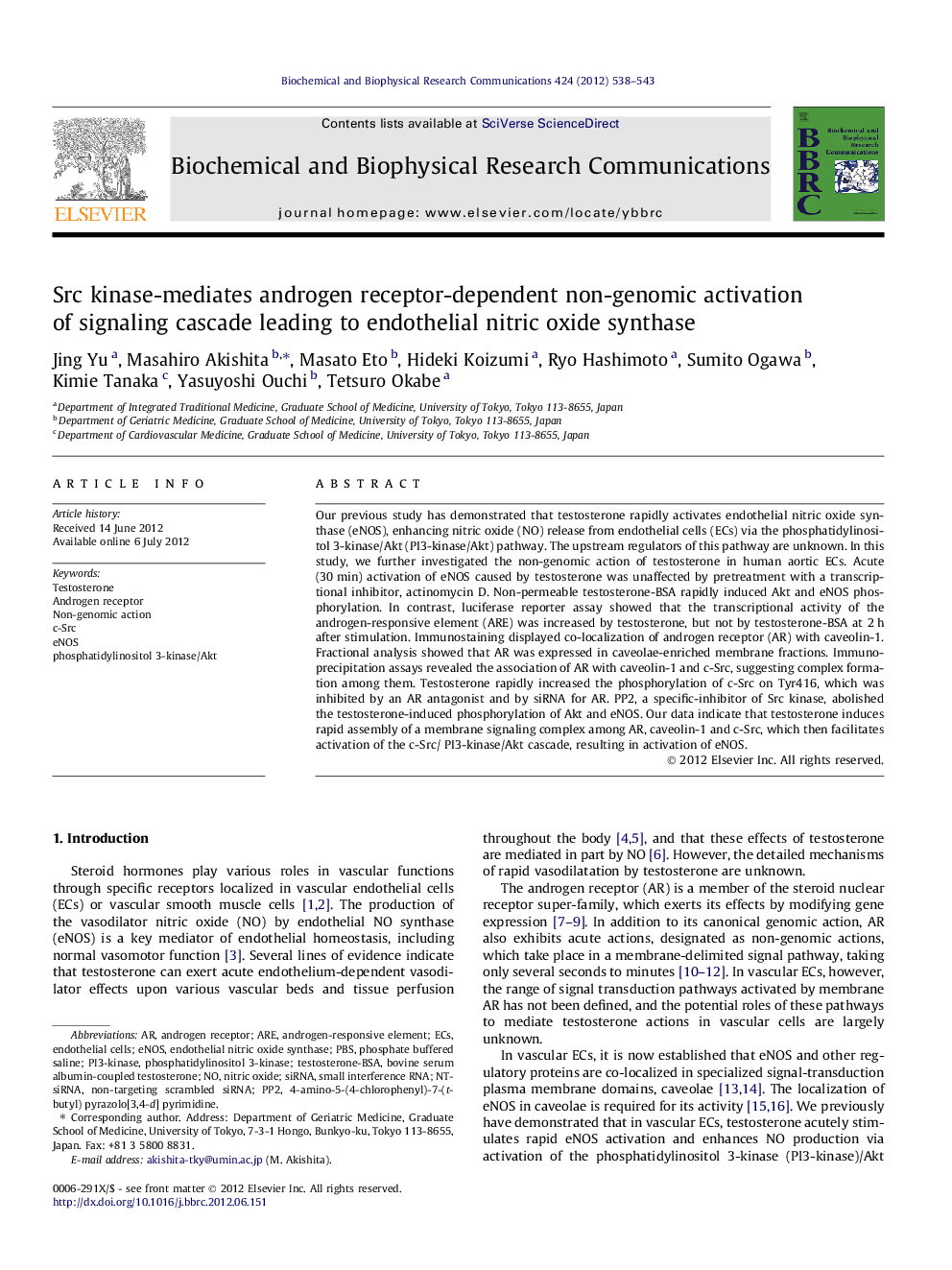 Src kinase-mediates androgen receptor-dependent non-genomic activation of signaling cascade leading to endothelial nitric oxide synthase