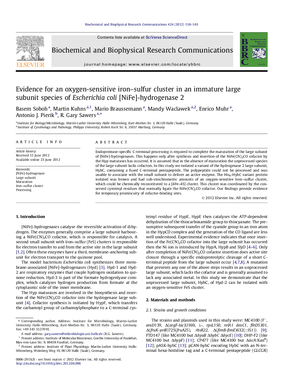 Evidence for an oxygen-sensitive iron–sulfur cluster in an immature large subunit species of Escherichia coli [NiFe]-hydrogenase 2