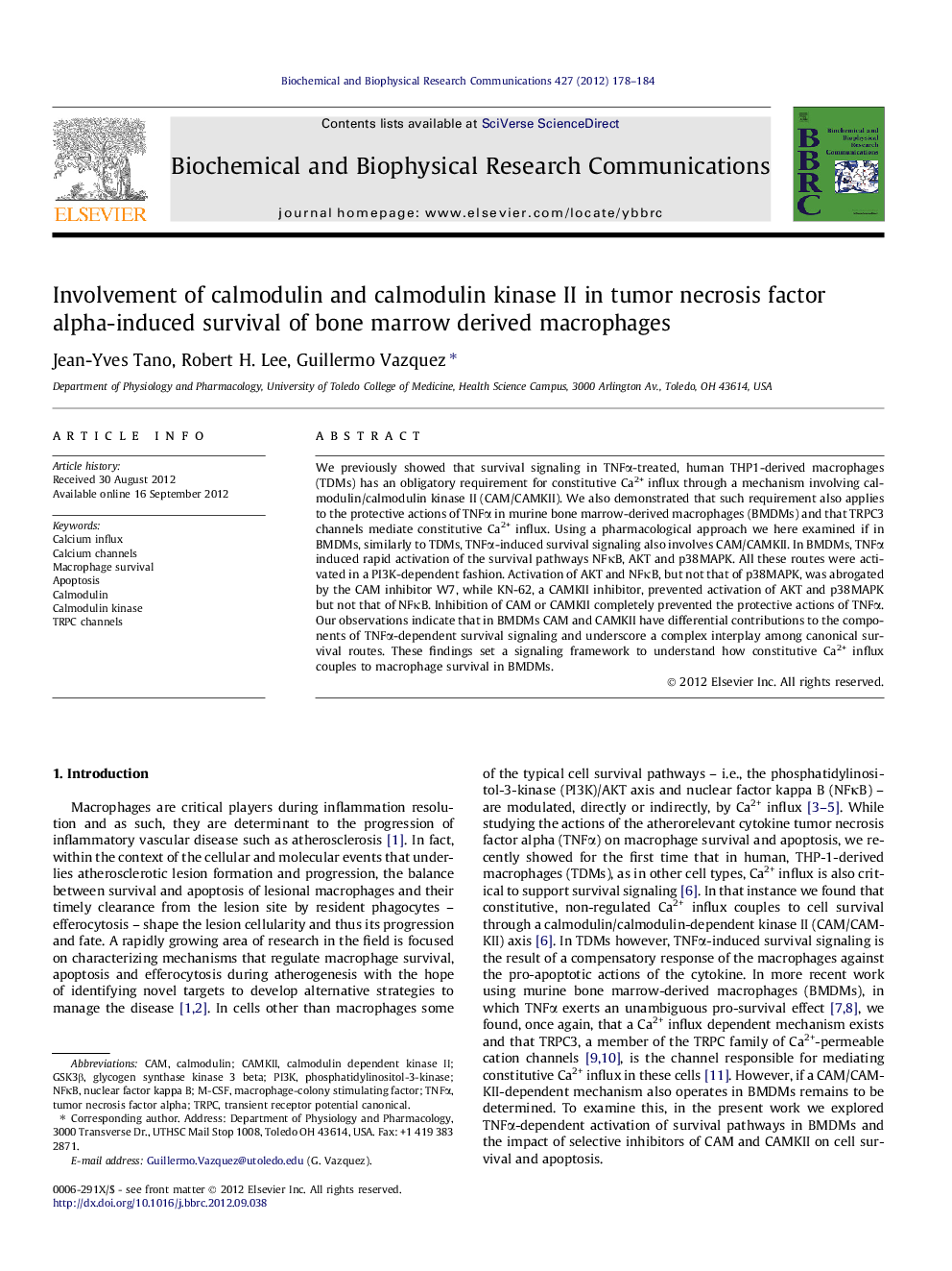 Involvement of calmodulin and calmodulin kinase II in tumor necrosis factor alpha-induced survival of bone marrow derived macrophages