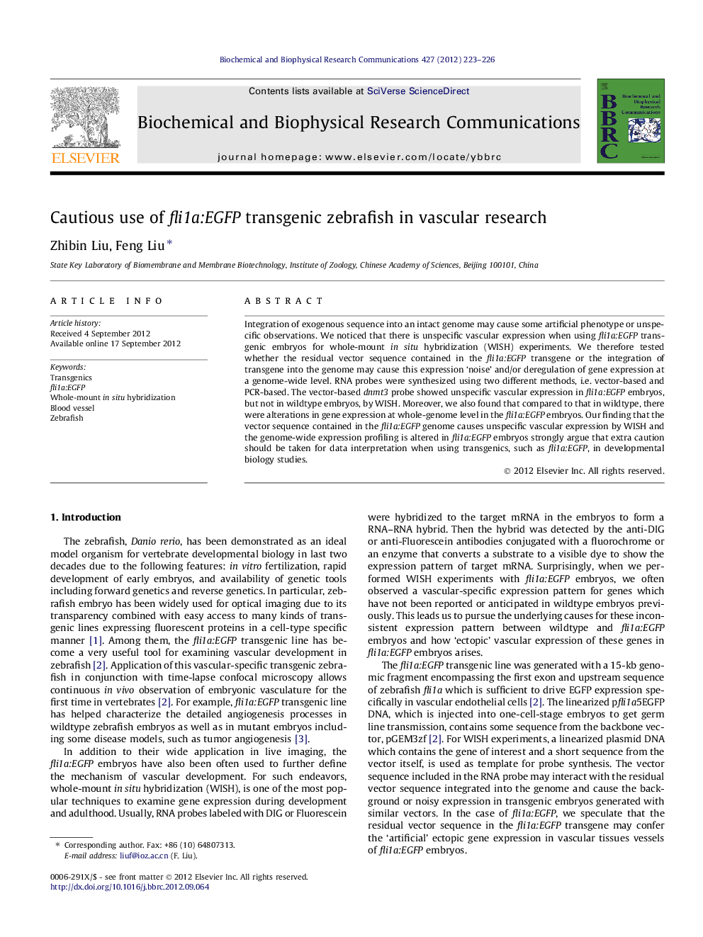 Cautious use of fli1a:EGFP transgenic zebrafish in vascular research