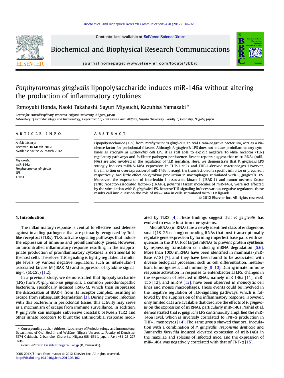 Porphyromonas gingivalis lipopolysaccharide induces miR-146a without altering the production of inflammatory cytokines