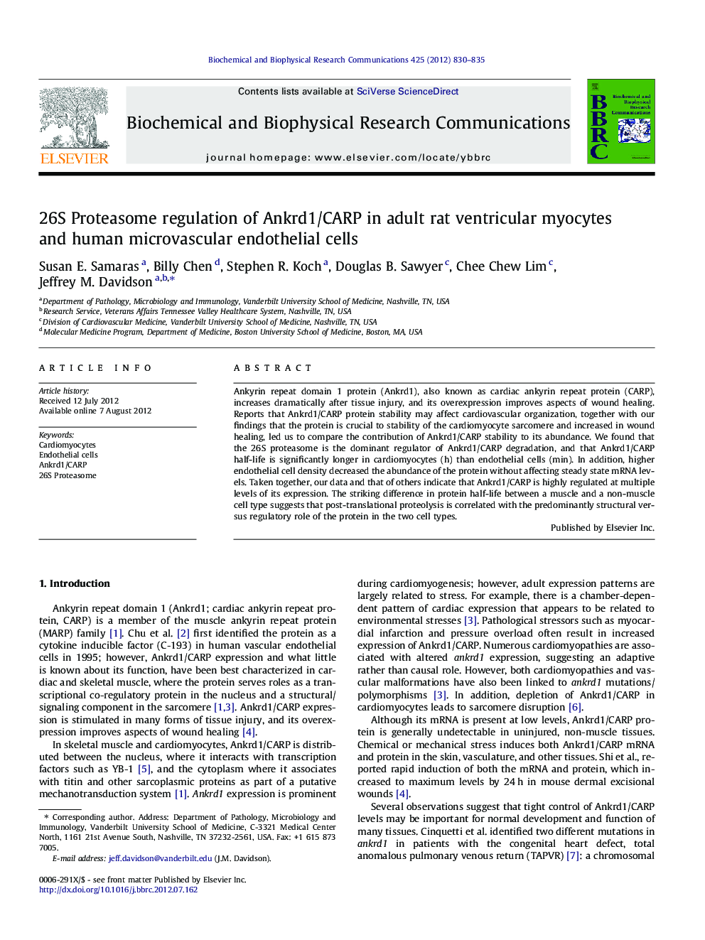 26S Proteasome regulation of Ankrd1/CARP in adult rat ventricular myocytes and human microvascular endothelial cells