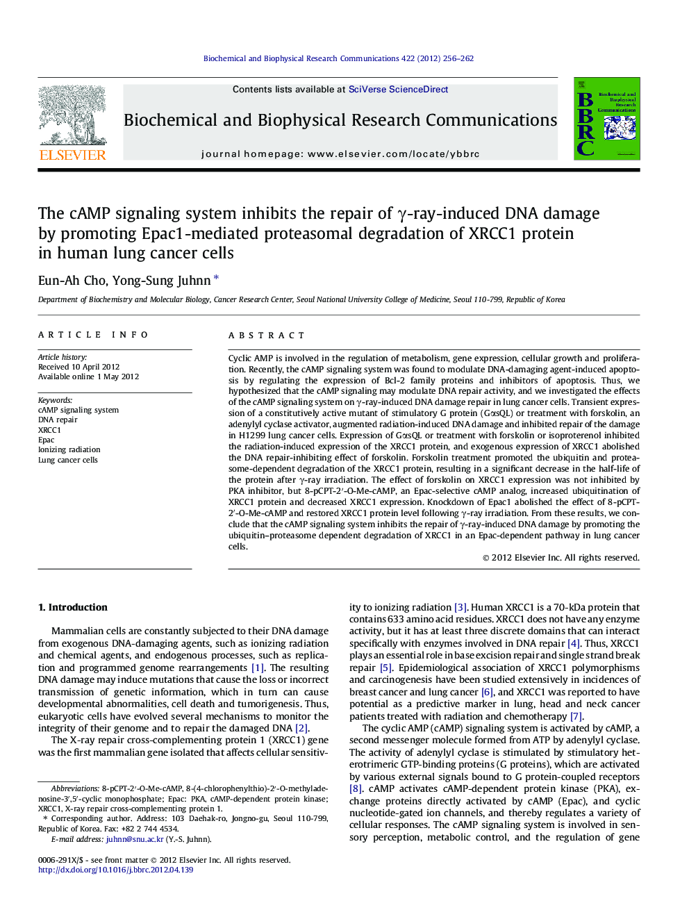 The cAMP signaling system inhibits the repair of γ-ray-induced DNA damage by promoting Epac1-mediated proteasomal degradation of XRCC1 protein in human lung cancer cells