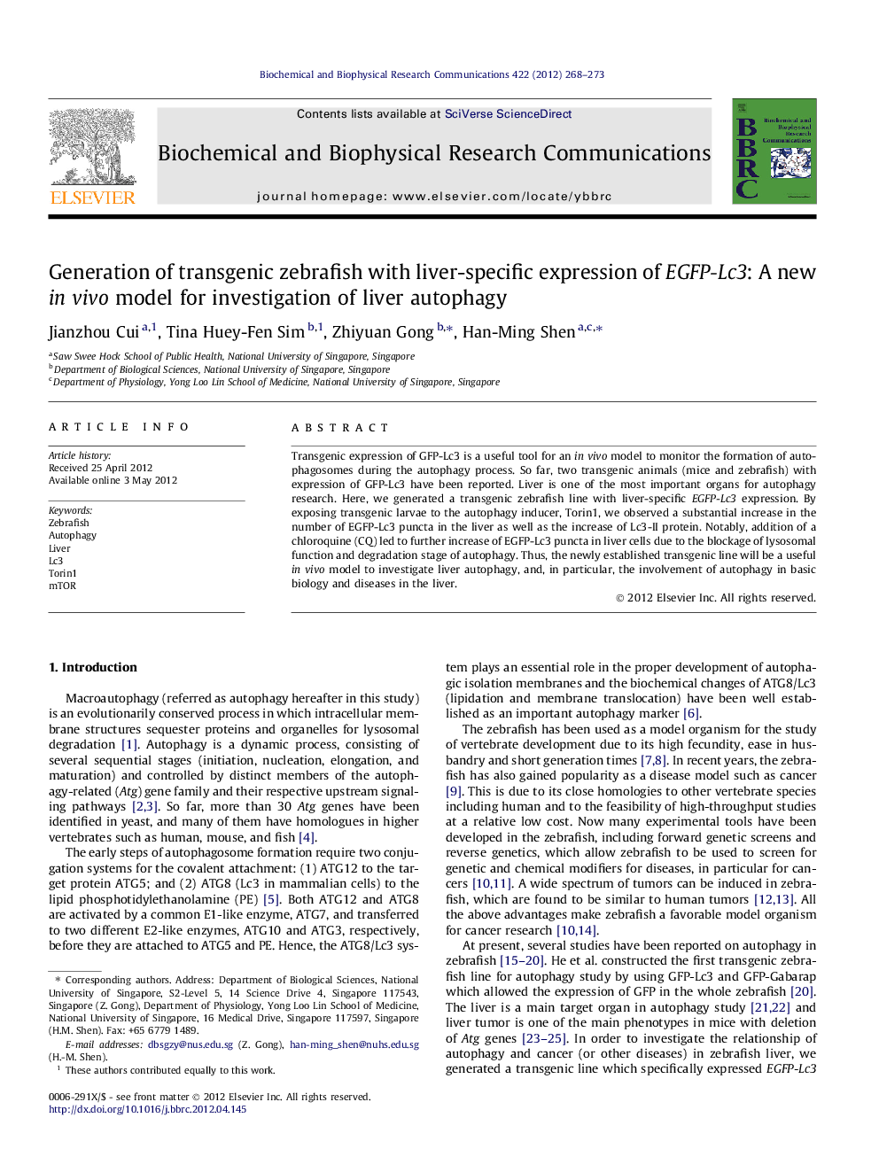 Generation of transgenic zebrafish with liver-specific expression of EGFP-Lc3: A new in vivo model for investigation of liver autophagy