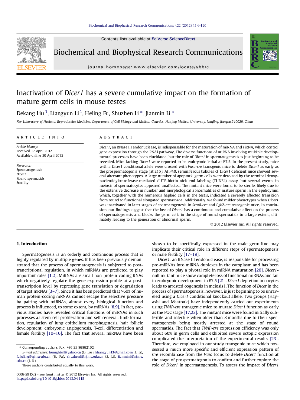 Inactivation of Dicer1 has a severe cumulative impact on the formation of mature germ cells in mouse testes