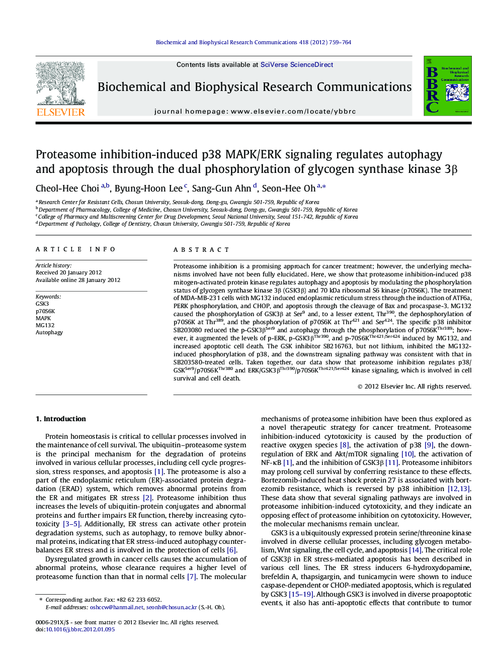 Proteasome inhibition-induced p38 MAPK/ERK signaling regulates autophagy and apoptosis through the dual phosphorylation of glycogen synthase kinase 3β