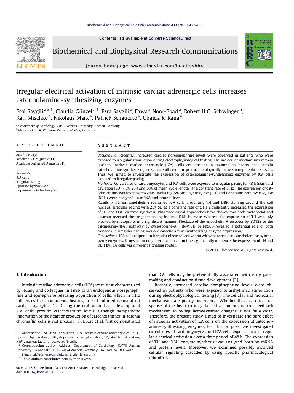 Irregular electrical activation of intrinsic cardiac adrenergic cells increases catecholamine-synthesizing enzymes