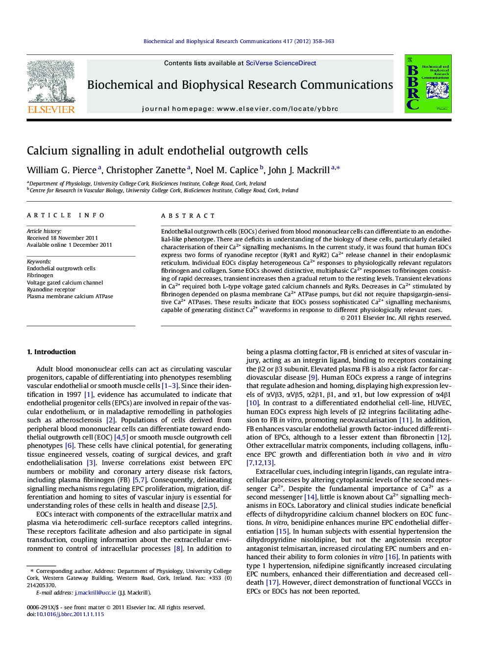 Calcium signalling in adult endothelial outgrowth cells