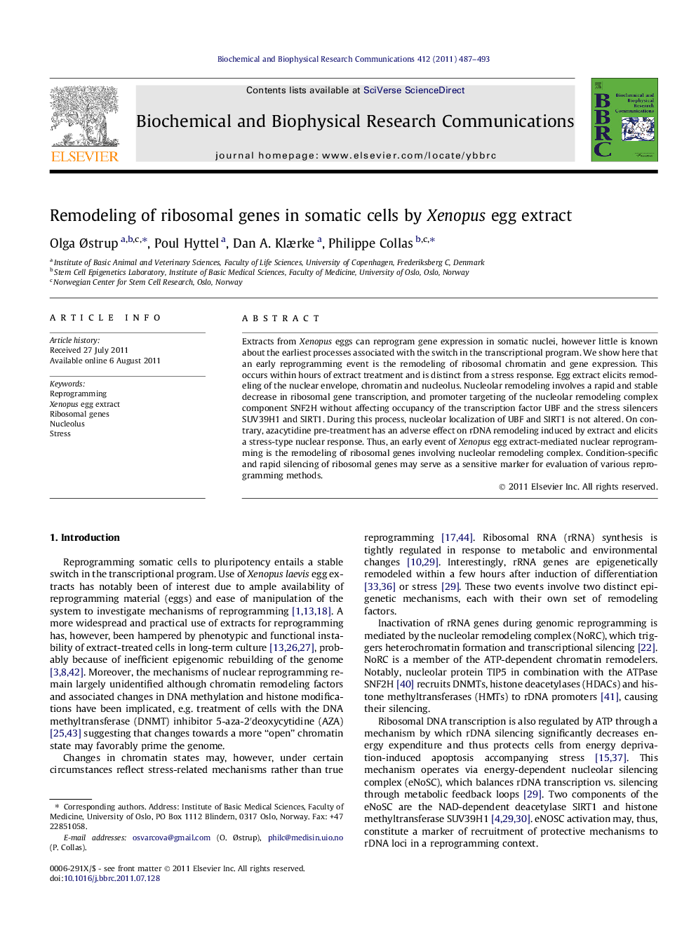 Remodeling of ribosomal genes in somatic cells by Xenopus egg extract