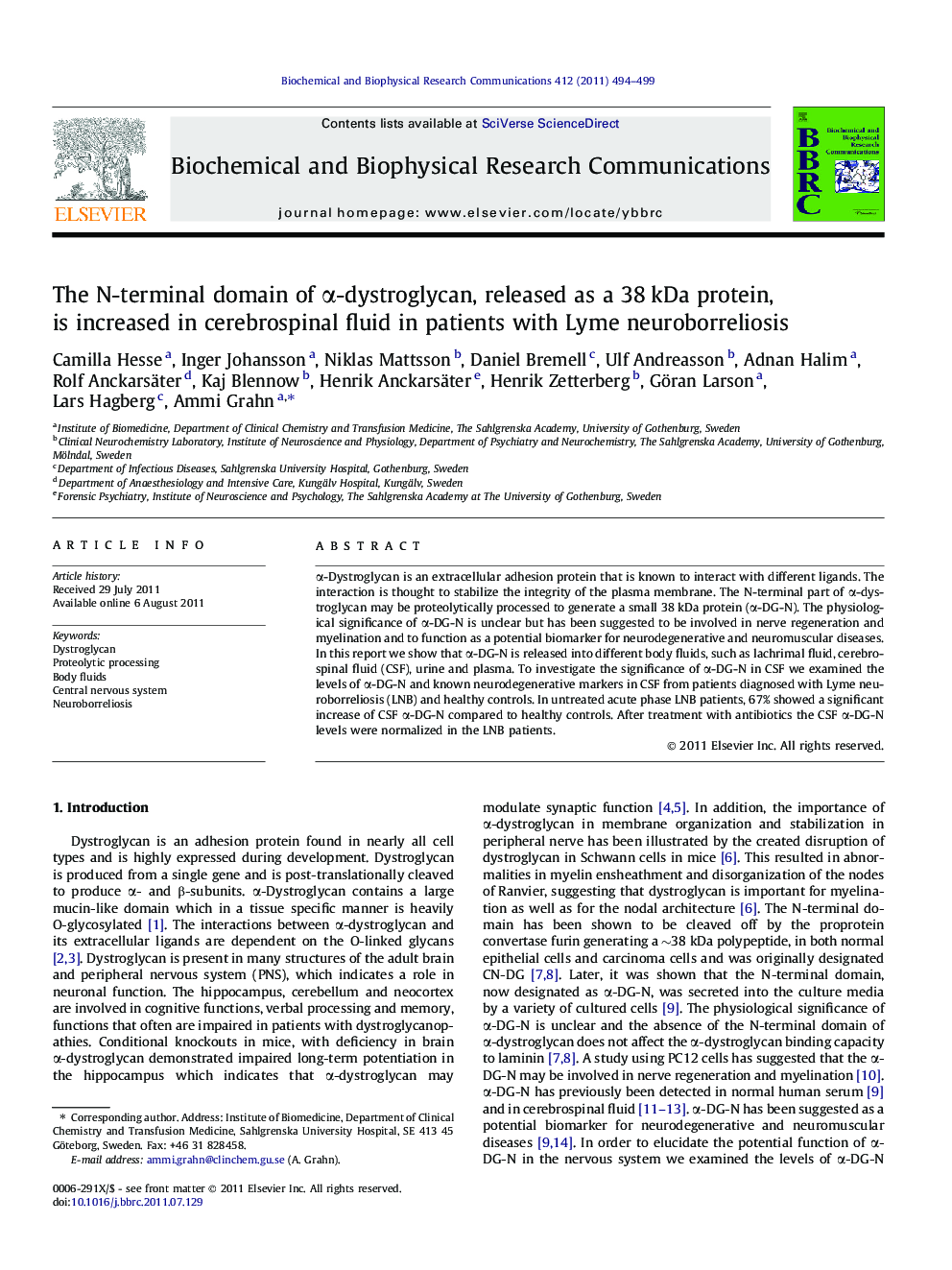 The N-terminal domain of α-dystroglycan, released as a 38 kDa protein, is increased in cerebrospinal fluid in patients with Lyme neuroborreliosis